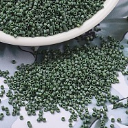 MIYUKI Delica Beads, Cylinder, Japanese Seed Beads, 11/0, (DB2312) Matte Opaque Glazed Basil Green AB, 1.3x1.6mm, Hole: 0.8mm, about 2000pcs/10g(X-SEED-J020-DB2312)