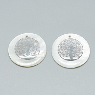 Freshwater Shell Pendants, Covered with Iron Findings, Flat Round with Tree of Life, Platinum, 30~31x2~3mm, Hole: 1.8mm(SHEL-Q016-015P)