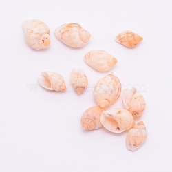 Natural Conch Shell Beads, Undrilled/No Hole Beads, Seashell Color, 8.8~13.5x5~7x5.2~8.2mm, 10pcs/bag(SSHEL-WH0001-33)