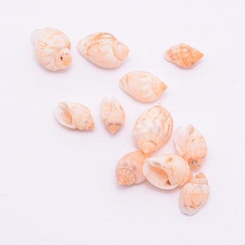 Natural Conch Shell Beads, Undrilled/No Hole Beads, Seashell Color, 8.8~13.5x5~7x5.2~8.2mm, 10pcs/bag