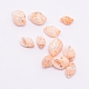 Natural Conch Shell Beads(SSHEL-WH0001-33)-1