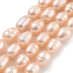 Natural Cultured Freshwater Pearl Beads Strands, Rice, Grade 2A, Light Coral, 6~7mm, Hole: 0.6mm, about 18~20pcs/strand, 6.30''~6.69''(16~17cm)(PEAR-P062-08F)