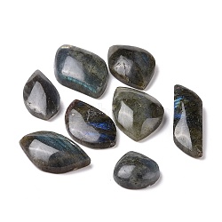 Natural Labradorite Cabochons, Mixed Shapes, 24.5~52x16.5~30x7~11.5mm(G-K331-001)