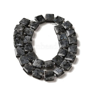 Natural Larvikite Beads Strands(G-L596-A16-01)-3