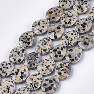 Natural Dalmatian Jasper Beads Strands, Faceted, teardrop, 18x13~13.5x5.5~6mm, Hole: 1.2mm, about 11pcs/strand, 7.8 inch(G-S354-05)