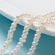 Natural Cultured Freshwater Pearl Beads Strands, Rondelle, Antique White, 4.8~5.5x3.5~4.5mm, Hole: 0.5mm, about 49pcs/strand, 7.01 inch(17.8cm)(PEAR-I004-07B-01A)