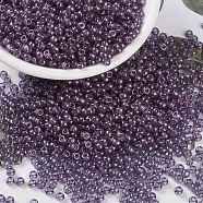 MIYUKI Round Rocailles Beads, Japanese Seed Beads, 8/0, (RR312) Amethyst Gold Luster, 3mm, Hole: 1mm, about 2111~2277pcs/50g(SEED-X0055-RR0312)