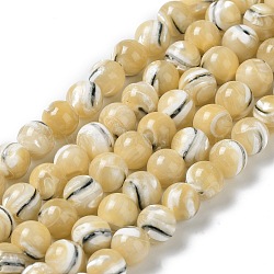 Natural Trochus Shell Beads Strands, Round, Goldenrod, 7.5~8mm, Hole: 0.5mm, about 50~52pcs/strand, 15.35''~15.55''(39~39.5cm)(BSHE-P033-03B)