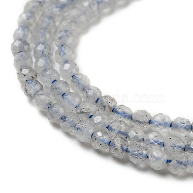 Natural Labradorite Beads Strands(G-A097-A07-01)-4