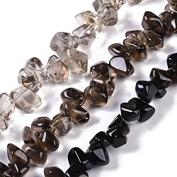 Natural Smoky Quartz Beads Strands, Nuggets, 11.5~17x7~11x10~13.5mm, Hole: 1mm, 15.16~15.94''(38.5~40.5cm)(G-B072-A01-02)