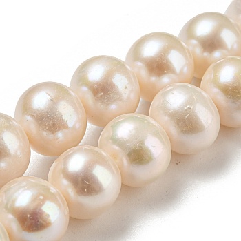 Natural Cultured Freshwater PearlBeads Strands, Round, Floral White, 12~13mm, Hole: 0.8mm, about 35pcs/strand, 15.9 inch