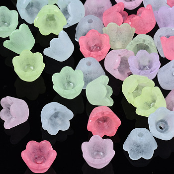 Transparent Acrylic Beads, Frosted, Flower, Mixed Color, 9x9.5x6.5mm, Hole: 1.6mm