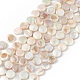 Electroplated Natural Freshwater Shell Beads Strands(X-SHEL-K001-002)-1