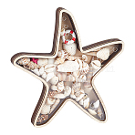 Ocean Poplar Wood Display Cases with Visible Acrylic Window, for Loose Gemstones Shell Beads, PapayaWhip, Home Decoration, Starfish, 191x216x20mm(DJEW-WH0042-126A)