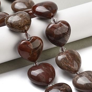 Natural Petrified Wood Beads Strands, Heart, with Seed Beads, 19~19.5x20x10mm, Hole: 1.5mm, about 17pcs/strand, 15.75 inch(40cm)