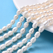 Natural Cultured Freshwater Pearl Beads Strands, Rice, Seashell Color, 7~9x6~7mm, Hole: 0.7mm, about 20~23pcs/Strand, 7.48 inch(19cm)(X-PEAR-S012-41C)