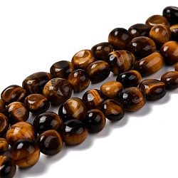 Natural Tiger Eye Beads Strands, Tumbled Stone, Nuggets, Grade A, 7.5~9x7.5~8x3.5~6mm, Hole: 1mm, about 44pcs/strand, 15.16~15.75 inch(38.5~40cm)(X-G-F706-08B)