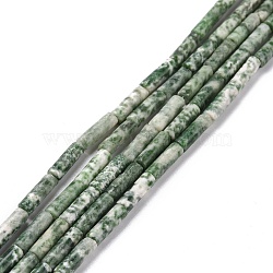 Natural Green Spot Jasper Beads Strands, Column, 13x4mm, Hole: 1.4mm, about 28pcs/strand, 15.18~15.39 inch(38.55~39.1cm)(G-D464-14)