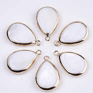 Natural Freshwater Shell Pendants, with Golden Plated Brass Open Back Settings, Teardrop, Seashell Color, 23x15x4mm, Hole: 1.8mm(X-SSHEL-R045-13)