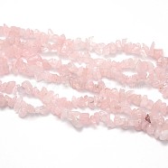 Natural Rose Quartz Beads Strands, Chips, 5~8x5~8mm, Hole: 1mm, about 31.5 inch(G-O049-B-36)