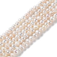 Natural Cultured Freshwater Pearl Beads Strands, Potato, Grade A++, PapayaWhip, 4~4.5x4~4.5mm, Hole: 0.5mm, about 80pcs/strand, 13.58''(34.5cm)(PEAR-E018-62)