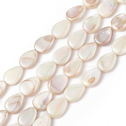 AB Color Plated Natural Freshwater Shell Beads Strands, Teardrop, 17x12x4.5mm, Hole: 0.8mm, about 21~22pcs/strand, 13.78~14.57 inch(35~37cm)(BSHE-G033-02)