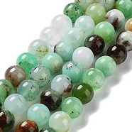 Natural Chrysoprase Beads Strands, Round, Grade AB, 10mm, Hole: 1mm, about 39pcs/strand, 15.35 inch(39cm)(G-G057-A01-01)