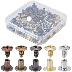 100Pairs 5 Colors Alloy Rivet Screw, Mixed Color, 7x8.5mm, 20pairs/color(FIND-GF0009-53)