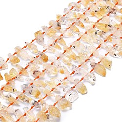 Natural Citrine Beads Strands, Nuggets, 16~25x4.5~10x4.5~8mm, Hole: 1mm, about 35pcs/strand, 15.55 inch(39.5cm)(G-F715-071B)