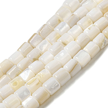 Natural Freshwater Shell Beads Strands, Column, Floral White, 5x5mm, Hole: 0.7mm, about 74~76pcs/strand, 14.57~14.96''(37~38cm)