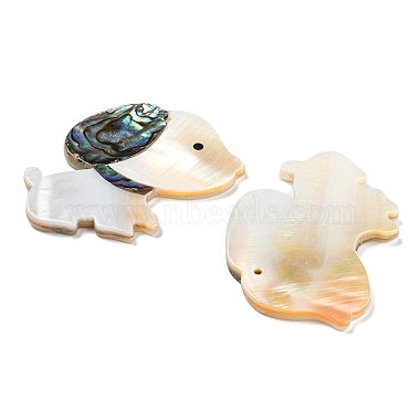 Natural Freshwater Shell & Paua Shell & Natural White Shell Pendants(BSHE-G034-02)-2