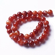 Natural Agate Beads Strands, Dyed, Round, FireBrick, 10mm, Hole: 1mm, about 38pcs/strand, 14.56 inch(37cm)(G-P434-09C-C)