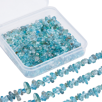 2 Strands Natural Apatite Chip Beads Strands, 3~5x3~5mm, Hole: 1mm, about 32 inch