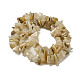 Natural Yellow Shell Beads Strands(SSHEL-H072-05)-2