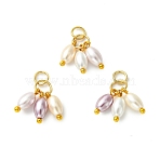 Electroplated Shell Pearl Pendants, Rice Beads Tassel Charms, Mixed Color, Golden, 15~15.5mm, Hole: 3.5mm(PALLOY-JF05644)