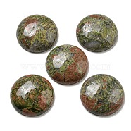 Natural Unakite Cabochons, Flat Round, 30x7~8.5mm(G-C115-02B-27)