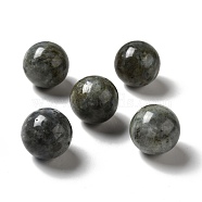 Natural Labradorite Beads, No Hole/Undrilled, Round, 25~25.5mm(G-A206-02-17)