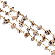 3.28 Feet Handmade Natural Dalmatian Jasper Beaded Chains, Unwelded, with Brass Findings, Chips, Golden, 6~12x4~9mm(X-CHC-F007-13)