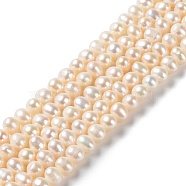 Natural Cultured Freshwater Pearl Beads Strands, Potato, Grade 2A, PapayaWhip, 4~5.5x4~4.5mm, Hole: 0.5mm, about 76pcs/strand, 14.33''(36.4cm)(PEAR-E018-63)