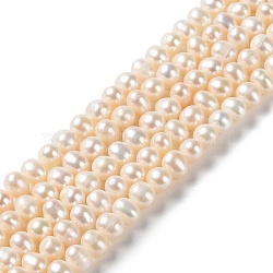 Natural Cultured Freshwater Pearl Beads Strands, Potato, Grade 2A, PapayaWhip, 4~5.5x4~4.5mm, Hole: 0.5mm, about 76pcs/strand, 14.33''(36.4cm)(PEAR-E018-63)