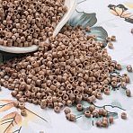 Baking Paint Glass Seed Beads, Cylinder, Tan, 2.5x2mm, Hole: 1.4mm, about 5039pcs/50g(X-SEED-S042-05A-25)