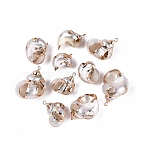 Electroplate Natural Sea Shell Pendants, Shell Shape Charms, with Iron Loops and Brass Findings, Seashell Color, Light Gold, 20~33x17~28x15~25mm, Hole: 1.4~1.8mm(SSHEL-Q100-03KCG)