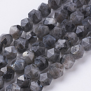 Natural Black Larvikite Beads Strands, Faceted, Round, 6x5mm, Hole: 0.8mm, about 68pcs/strand, 15.3 inch(39cm)(G-J376-47A-6mm)