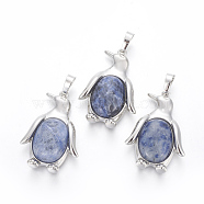 Natural Sodalite Pendants, with Brass Findings, Penguin, Platinum, 34~35x24~25x5~8mm, Hole: 8x5mm(G-L512-A22)