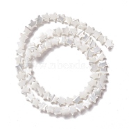 Natural Trochid Shell/Trochus Shell Beads, Star, Seashell Color, 6x6.5x2~2.5mm, Hole: 0.8mm, about 74pcs/strand, 15.59 inch(39.6cm)(SSHEL-O001-25A-01)