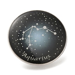 Twelve Constellation Creative Alloy Badges Constellation Brooches, Platinum, Aquarius, 31mm(JEWB-S033-01P-K)