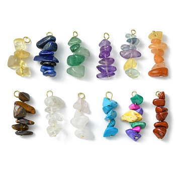 12Pcs 12 Styles Natural & Synthetic Mixed Gemstone Pendants, Chip Charms with 304 Stainless Steel Loops, Golden, 22~25x7~10x5~10mm, Hole: 1.5~2.5mm, 1pc/style