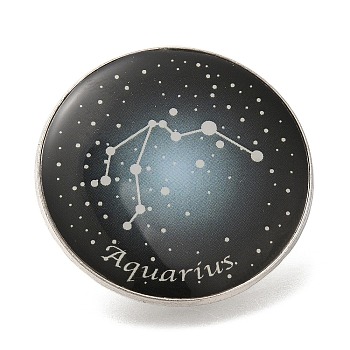 Twelve Constellation Creative Alloy Badges Constellation Brooches, Platinum, Aquarius, 31mm