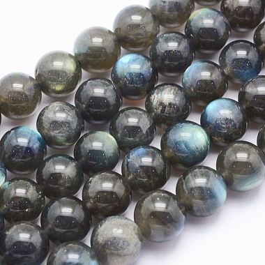 Natural Labradorite Beads Strands(G-O166-08-10mm)-1