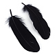 Goose Feather Costume Accessories(X-FIND-Q044-05)-1